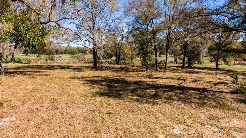 0 Northeast 36th Avenue Ocala, FL 34479 - Photo 18 of 35 a view of dirt yard with a large trees