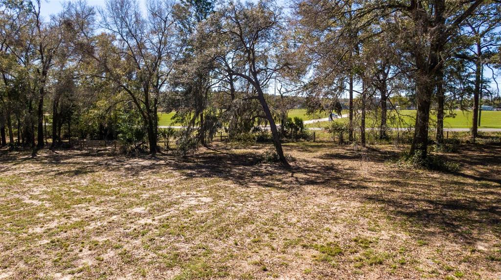 0 Northeast 36th Avenue Ocala, FL 34479 - Photo 20 of 35 a view of outdoor space with trees