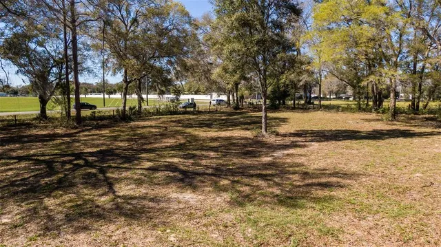 a view of a yard with trees