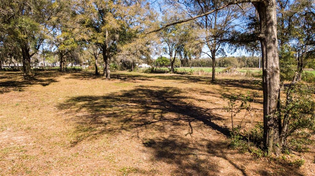 0 Northeast 36th Avenue Ocala, FL 34479 - Photo 22 of 35 a view of road with trees