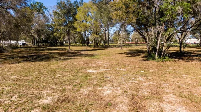 a view of a yard with trees