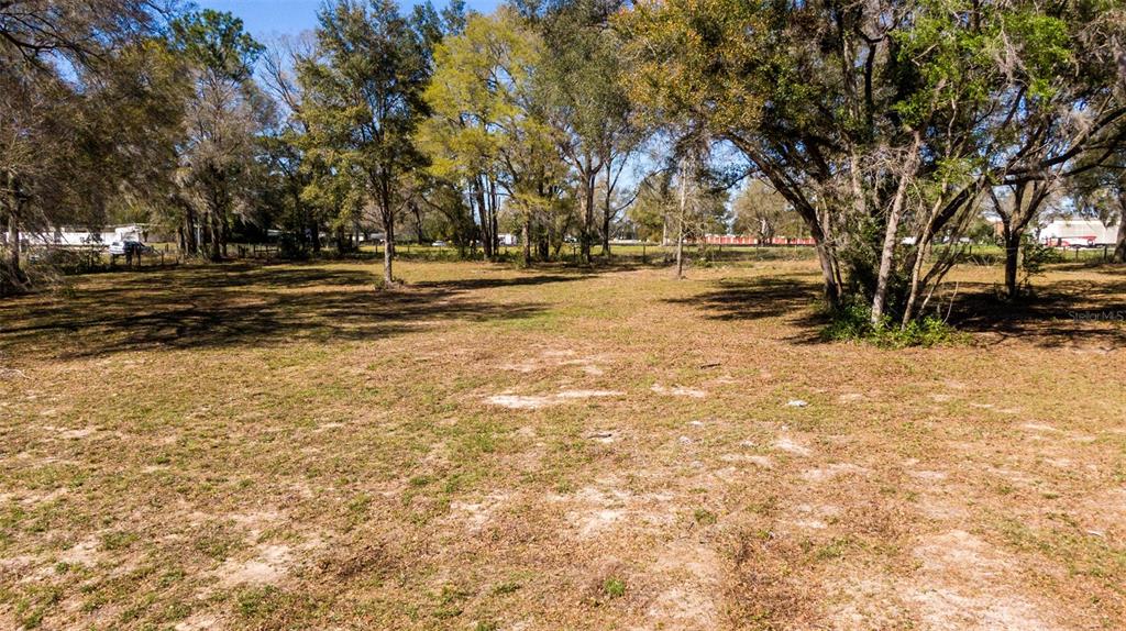 0 Northeast 36th Avenue Ocala, FL 34479 - Photo 23 of 35 a view of road with trees