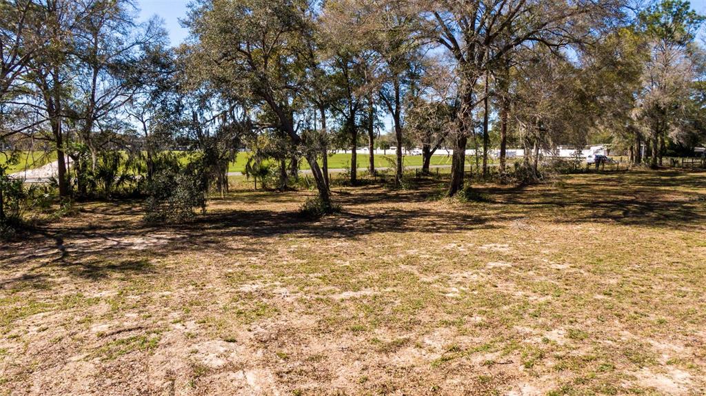 0 Northeast 36th Avenue Ocala, FL 34479 - Photo 24 of 35 a view of yard with trees