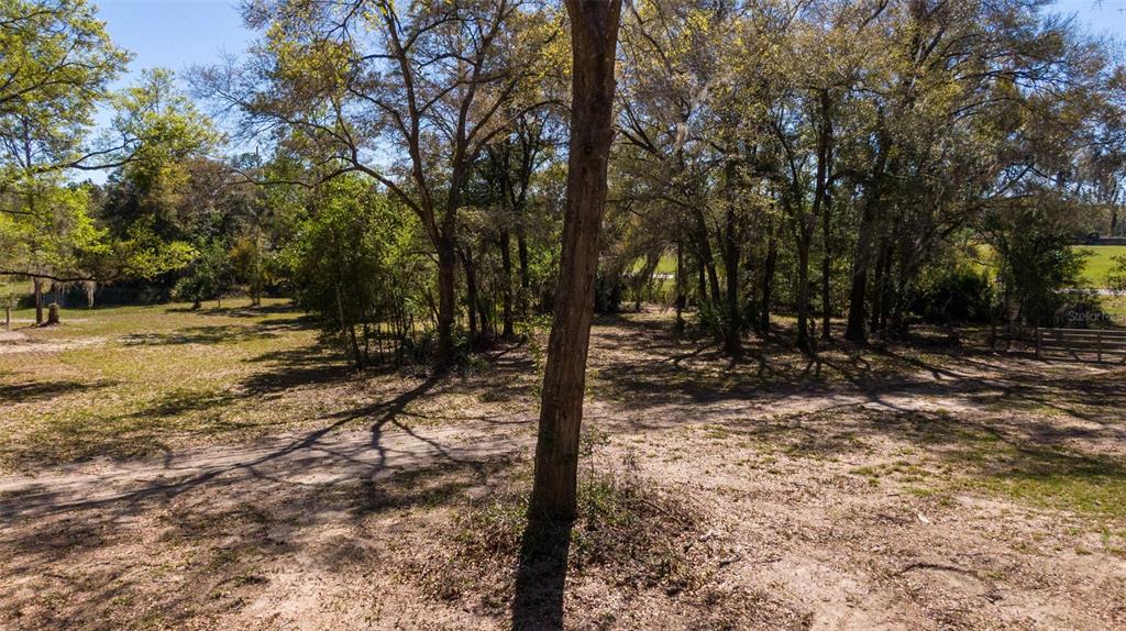 0 Northeast 36th Avenue Ocala, FL 34479 - Photo 25 of 35 a view of a yard with trees