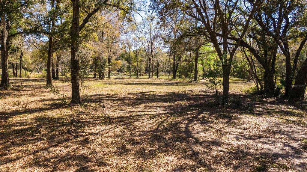 0 Northeast 36th Avenue Ocala, FL 34479 - Photo 26 of 35 a view of a yard with trees