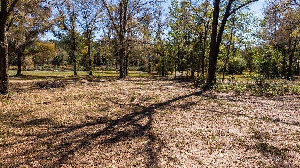 0 Northeast 36th Avenue Ocala, FL 34479 - Photo 29 of 35 a view of outdoor space with trees