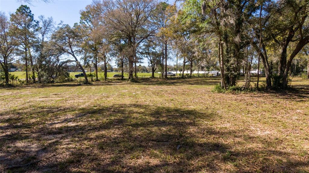 0 Northeast 36th Avenue Ocala, FL 34479 - Photo 31 of 35 a view of yard with tree