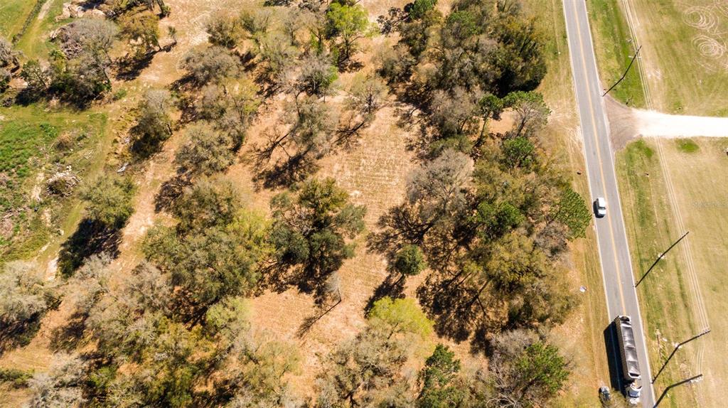 0 Northeast 36th Avenue Ocala, FL 34479 - Photo 9 of 35 a view of a tree with a yard