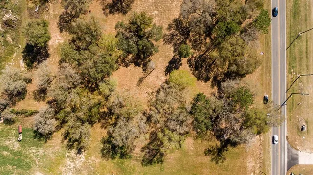 a view of yard with trees