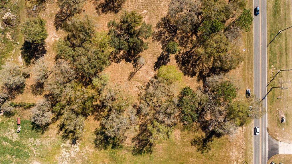 0 Northeast 36th Avenue Ocala, FL 34479 - Photo 10 of 35 a view of a tree with a yard