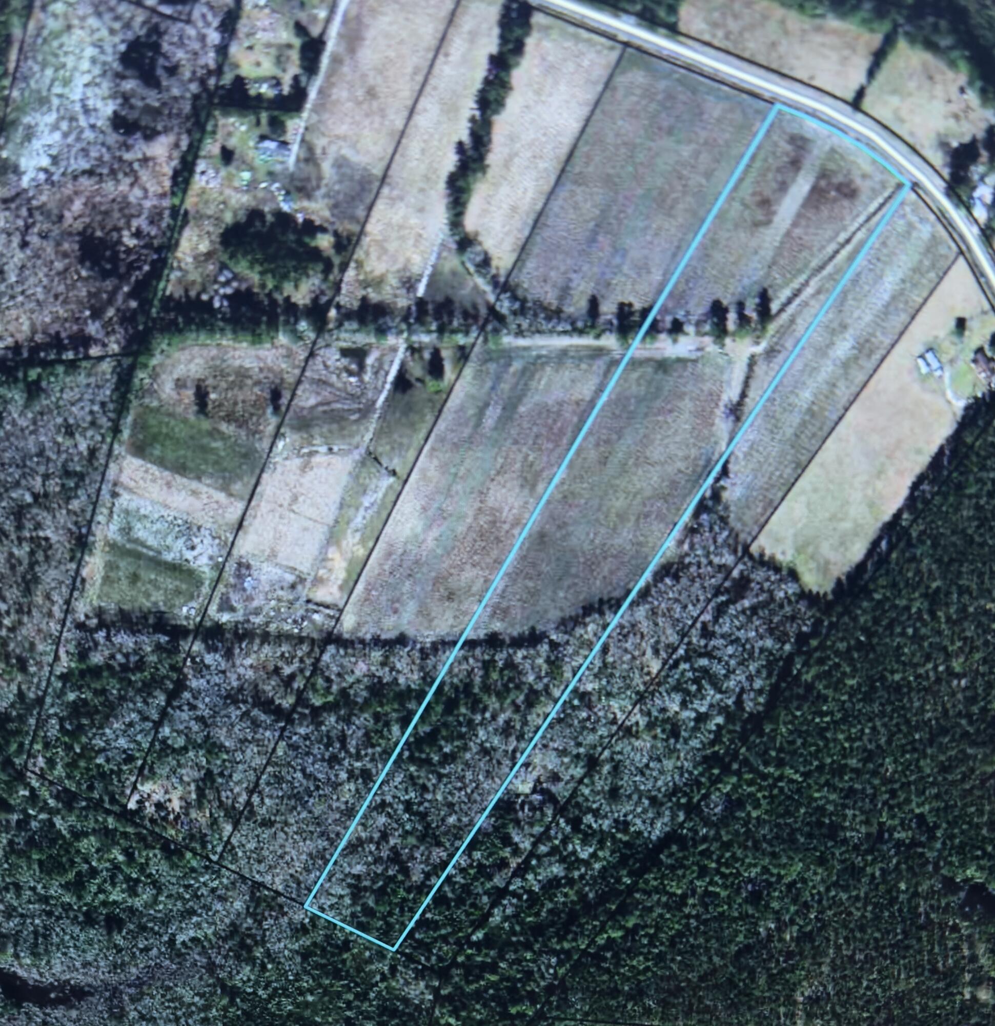 0 Nunuville Road Walterboro, SC 29488 - Photo 1 of 1 IMG_6925
