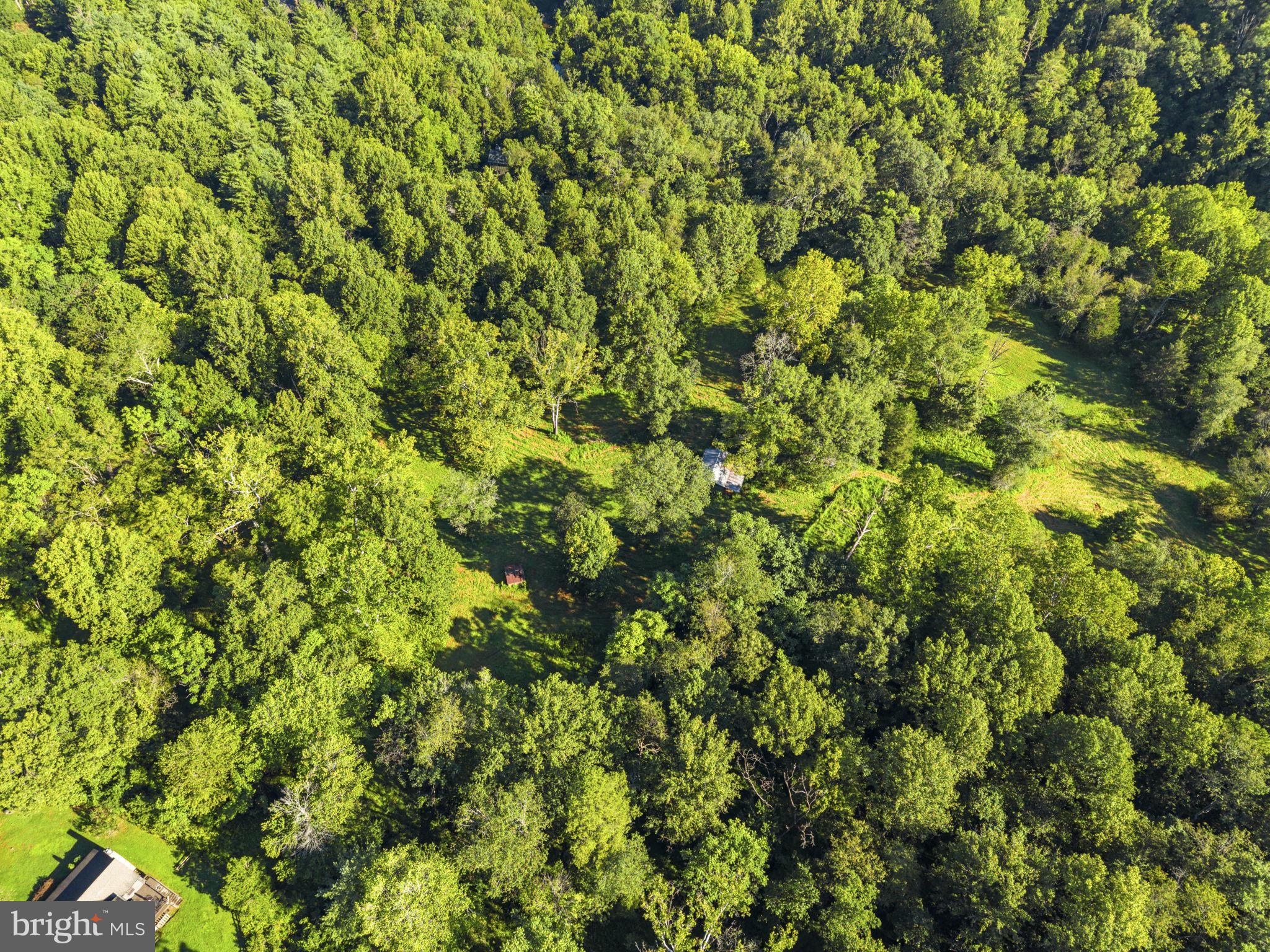 229 Grandview Road Washington, VA 22747 - Photo 75 of 75 OVER VIEW OF LAND