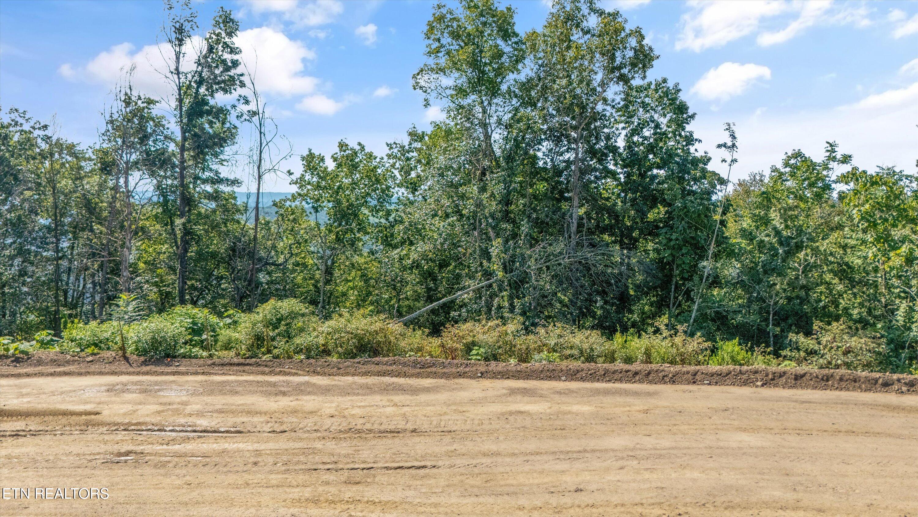 Lot 103 Sommet Ridge Tazewell, TN 37879 - Photo 1 of 19 Aerial