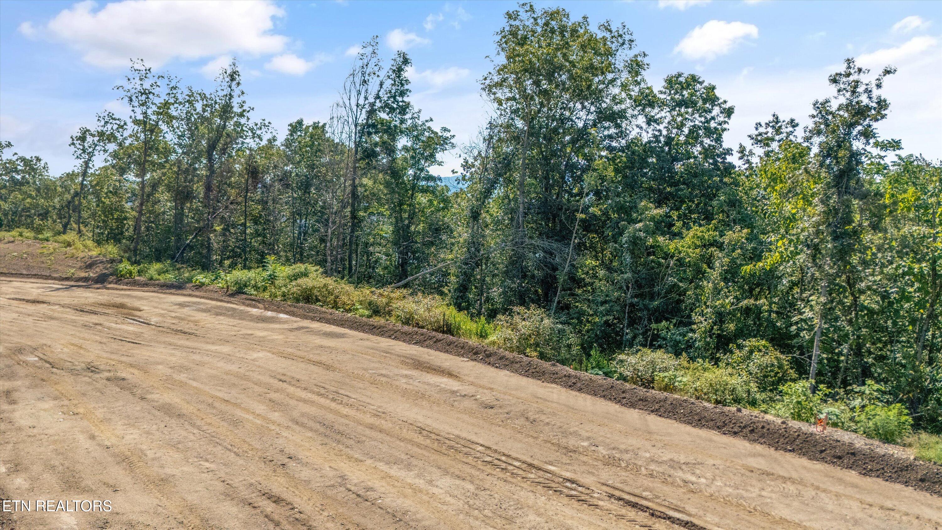 Lot 103 Sommet Ridge Tazewell, TN 37879 - Photo 12 of 19 Aerial