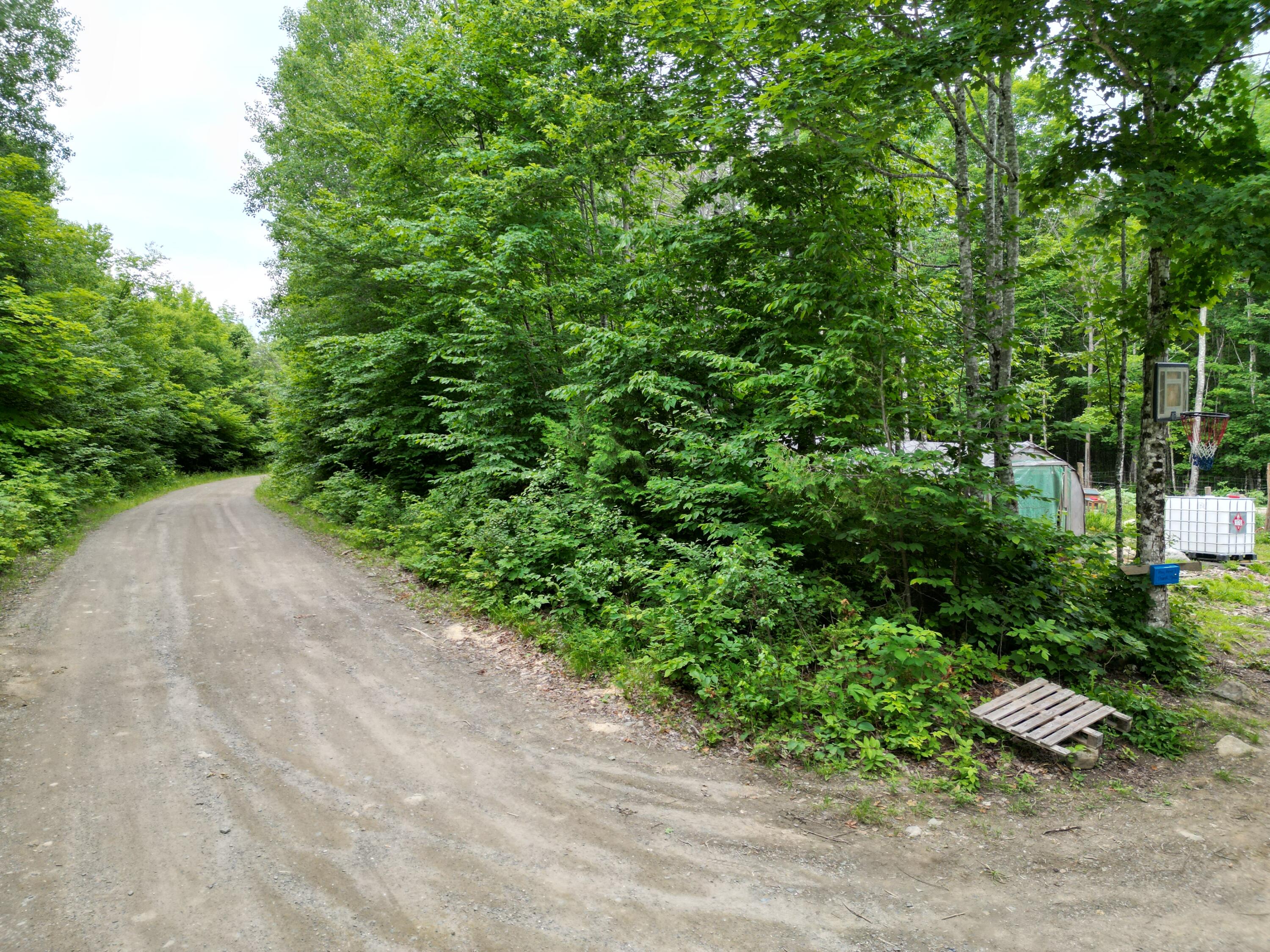 135 Clearcut Lodge Road Springfield, ME 04487 - Photo 18 of 23 DJI_0901