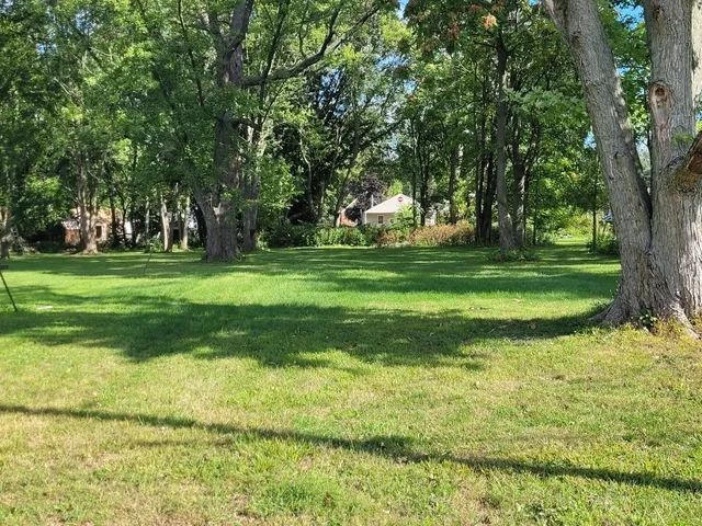 a big yard with lots of green space and trees
