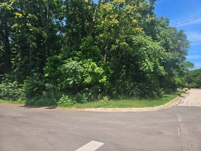 $40,000 | Pine Street, Stevensville, MI 49127