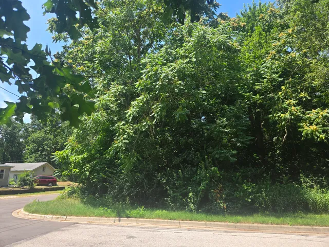 $40,000 | Pine Street, Stevensville, MI 49127