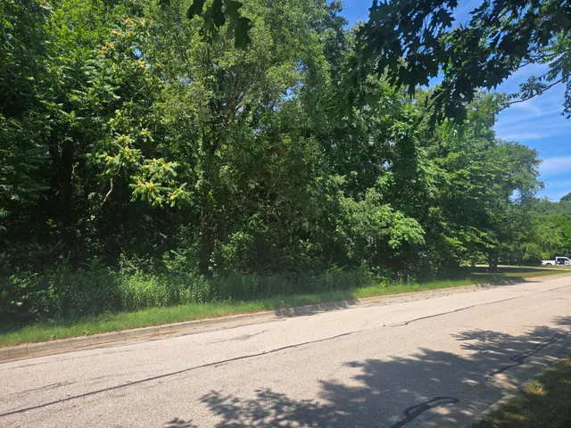 $40,000 | Pine Street, Stevensville, MI 49127