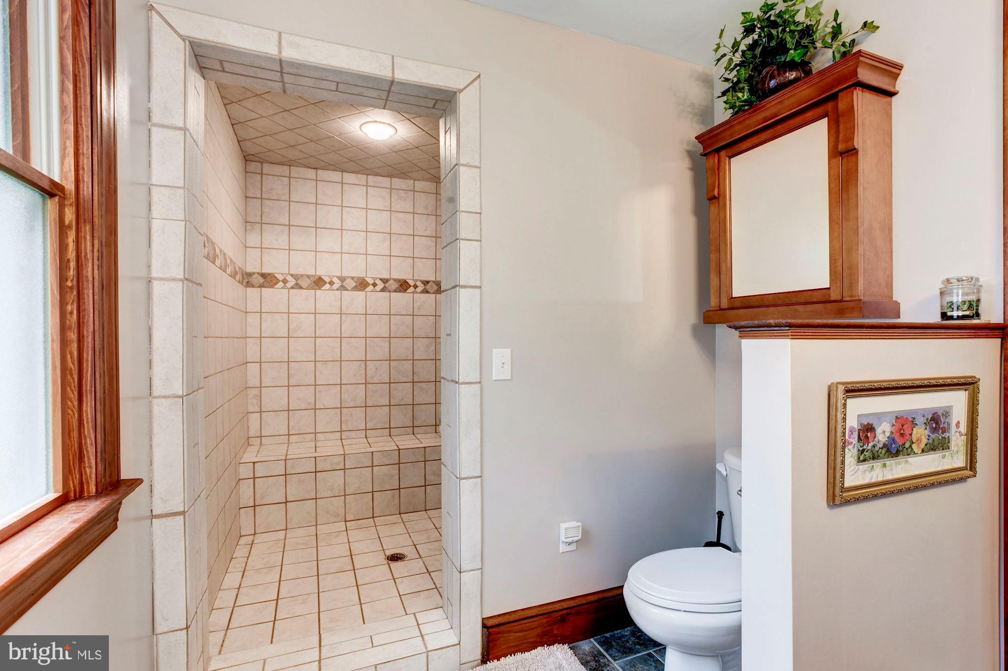 409 5th Avenue Washington Grove, MD 20880 - Photo 26 of 49 with oversized shower