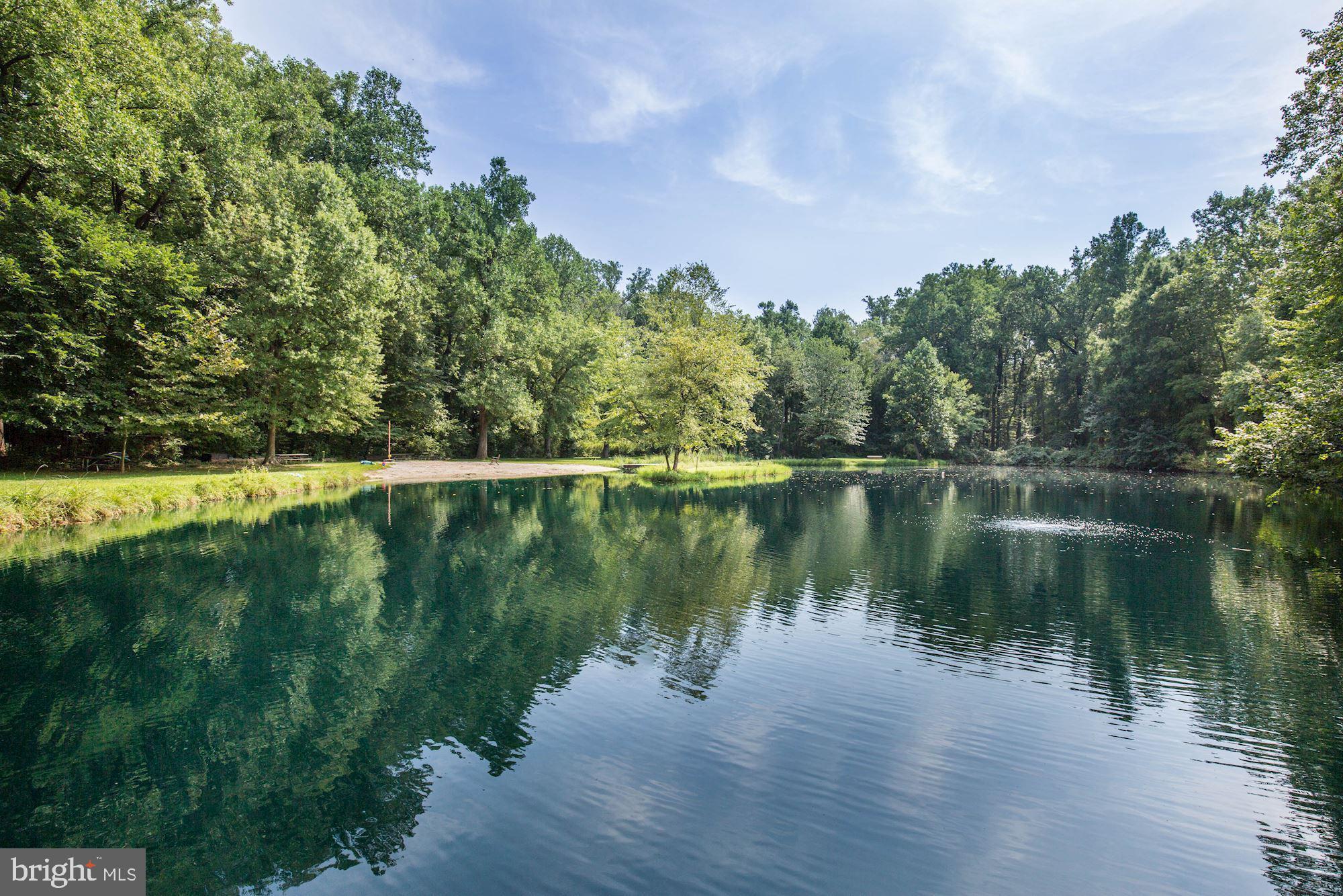 409 5th Avenue Washington Grove, MD 20880 - Photo 41 of 49 Private swimming lake for town residents