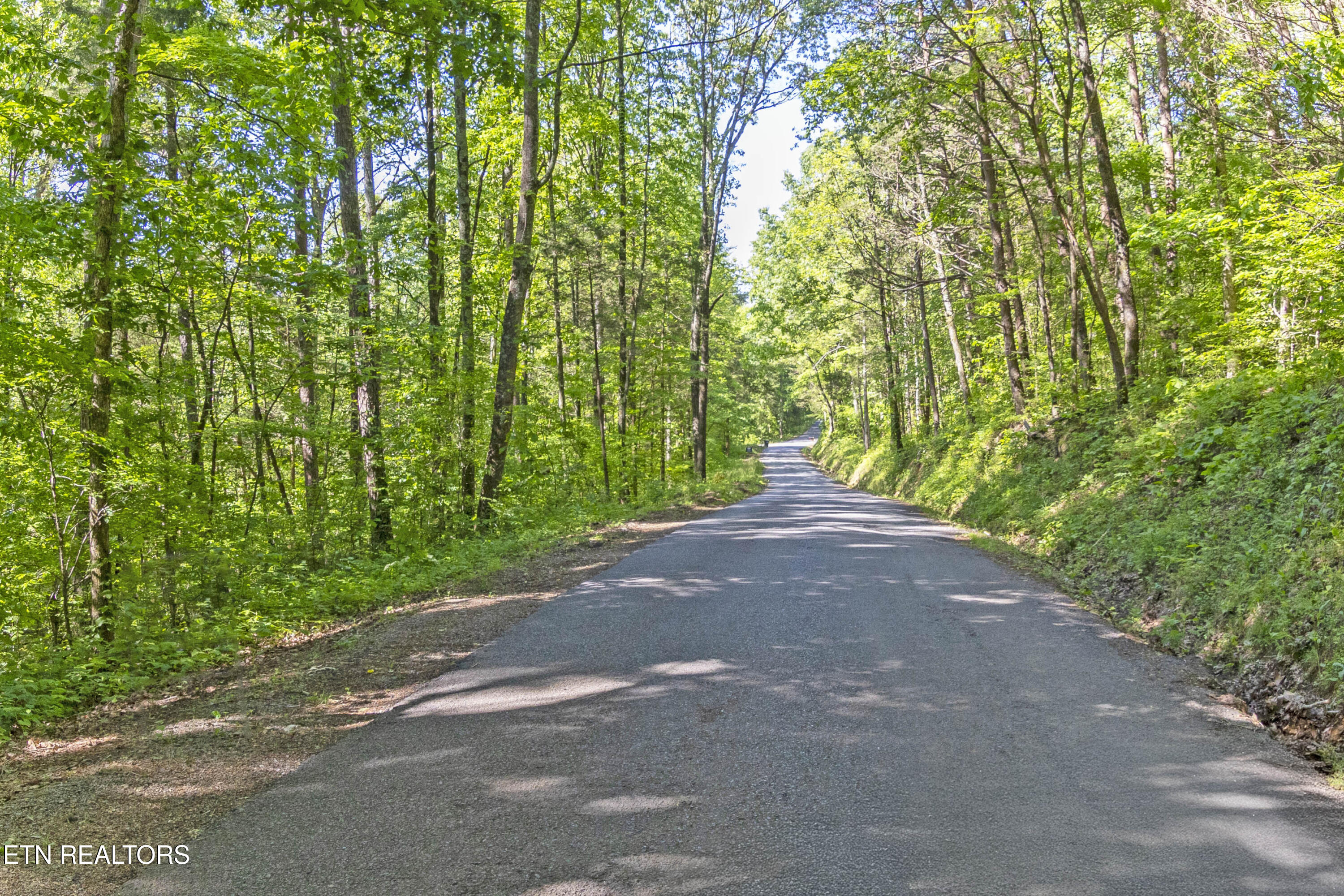 121-5.3 121-5.3 Ac, Unit 2 Athens, TN 37303 - Photo 2 of 6 Roadside