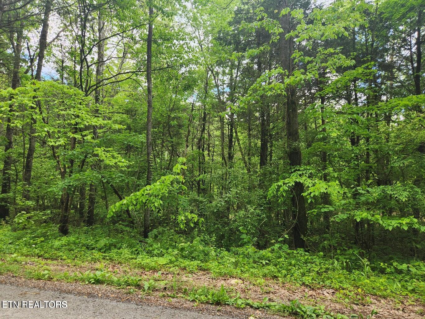 121-5.3 121-5.3 Ac, Unit 2 Athens, TN 37303 - Photo 3 of 6 Roadside