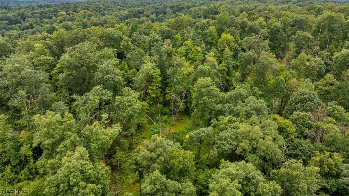 0 Bald Knob-Stiversville Road Portland, OH 45770 - Photo 14 of 20 Gallery Image 14