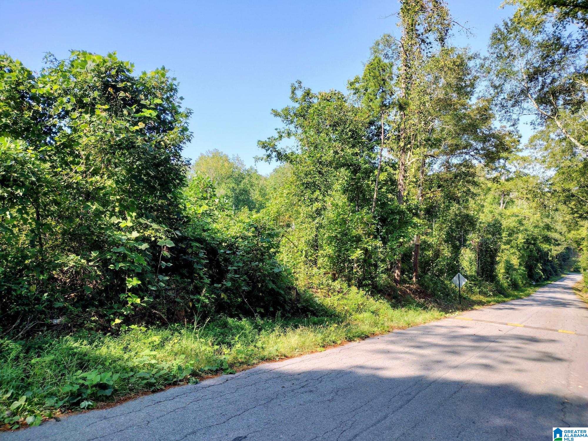 0 Fincher Road Roanoke, AL 36274 - Photo 3 of 9