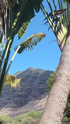 a view of an outdoor space