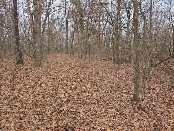 $123,000 | 0 North County Road 96 Road, Walnut Grove, MO 65770