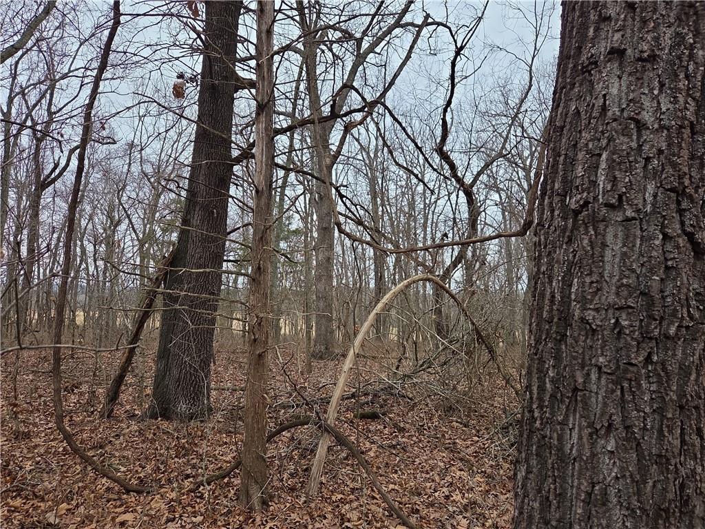 0 North County Road 96 Road Walnut Grove, MO 65770 - Photo 12 of 40