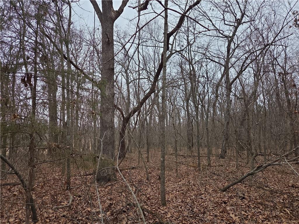 0 North County Road 96 Road Walnut Grove, MO 65770 - Photo 13 of 40