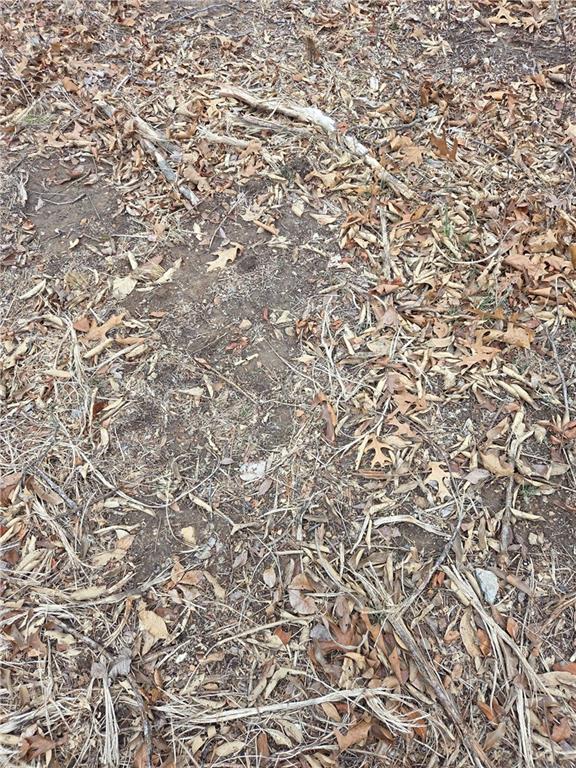 0 North County Road 96 Road Walnut Grove, MO 65770 - Photo 15 of 40