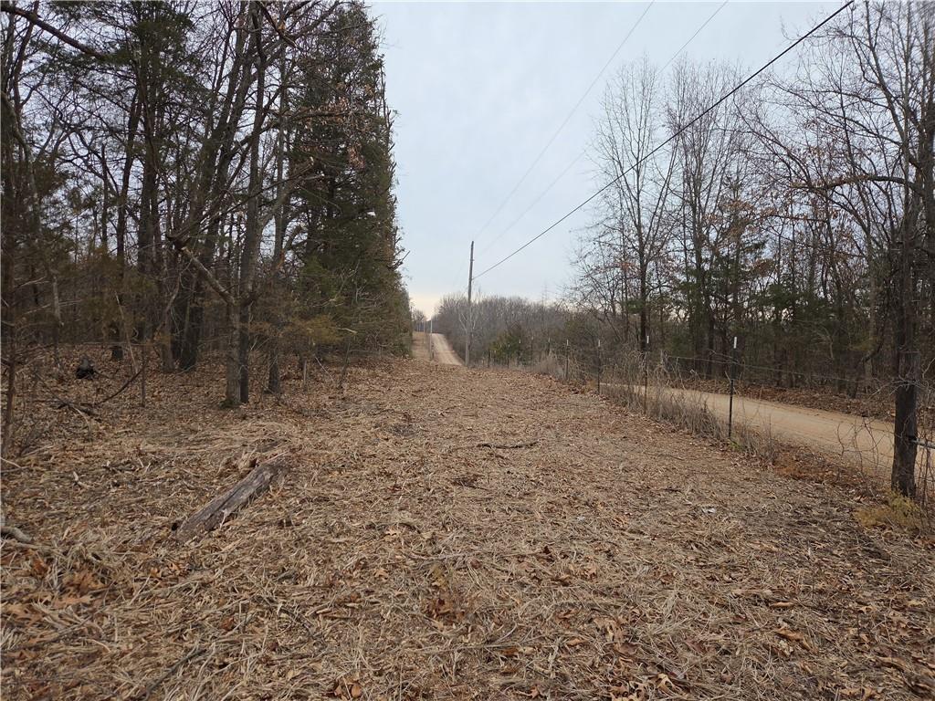 0 North County Road 96 Road Walnut Grove, MO 65770 - Photo 17 of 40