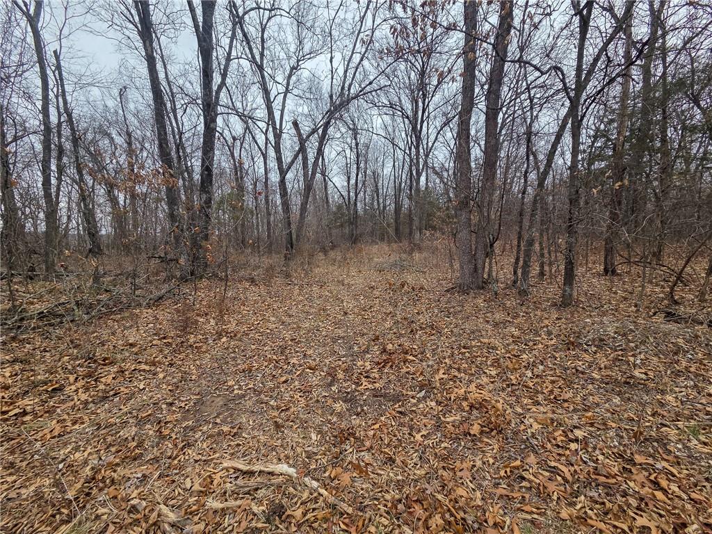 0 North County Road 96 Road Walnut Grove, MO 65770 - Photo 18 of 40