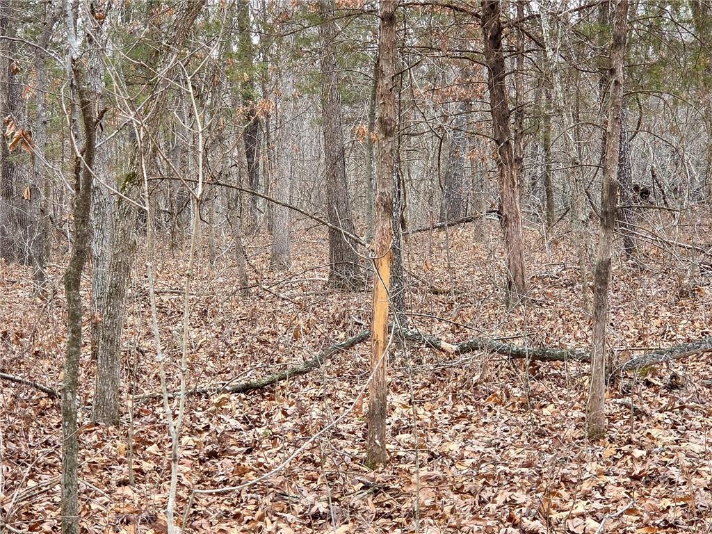 0 North County Road 96 Road Walnut Grove, MO 65770 - Photo 20 of 40