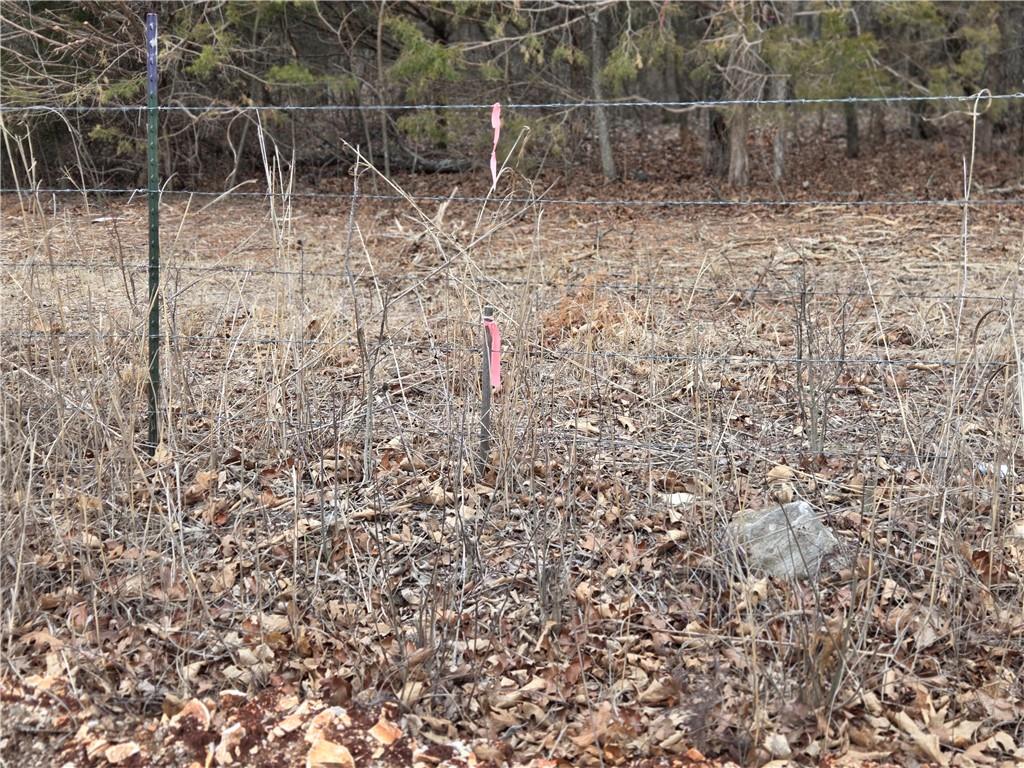 0 North County Road 96 Road Walnut Grove, MO 65770 - Photo 2 of 40