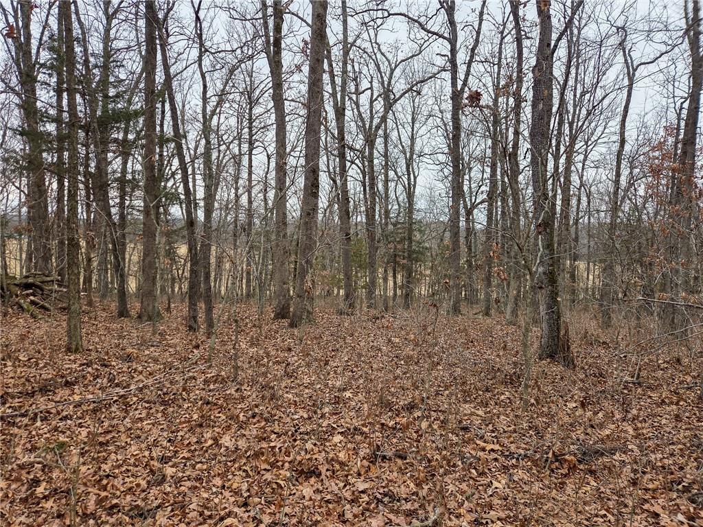 0 North County Road 96 Road Walnut Grove, MO 65770 - Photo 21 of 40