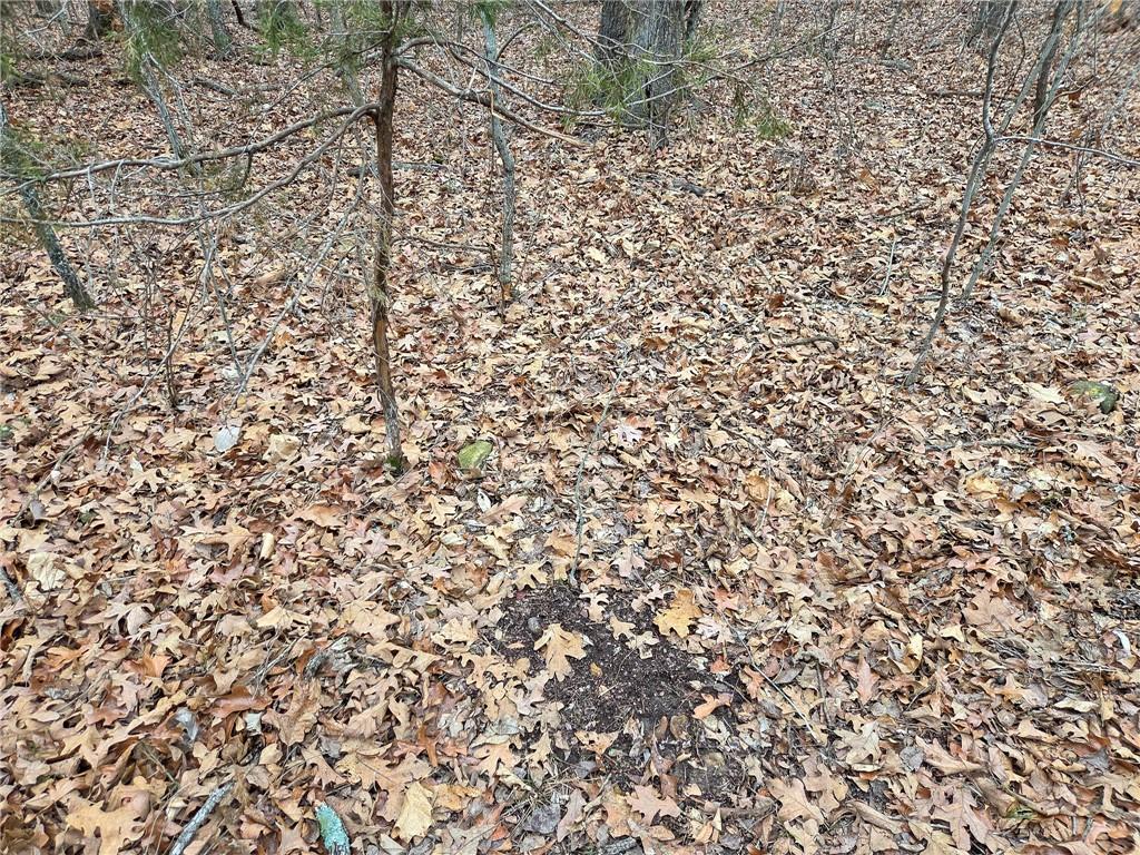 0 North County Road 96 Road Walnut Grove, MO 65770 - Photo 22 of 40