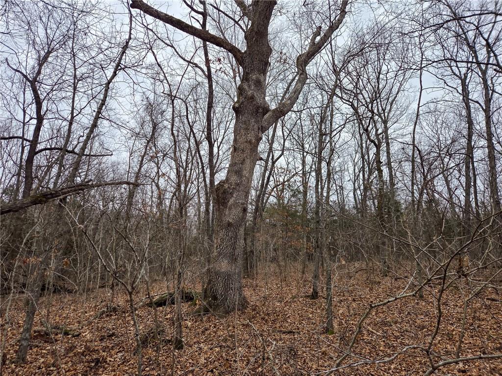 0 North County Road 96 Road Walnut Grove, MO 65770 - Photo 23 of 40