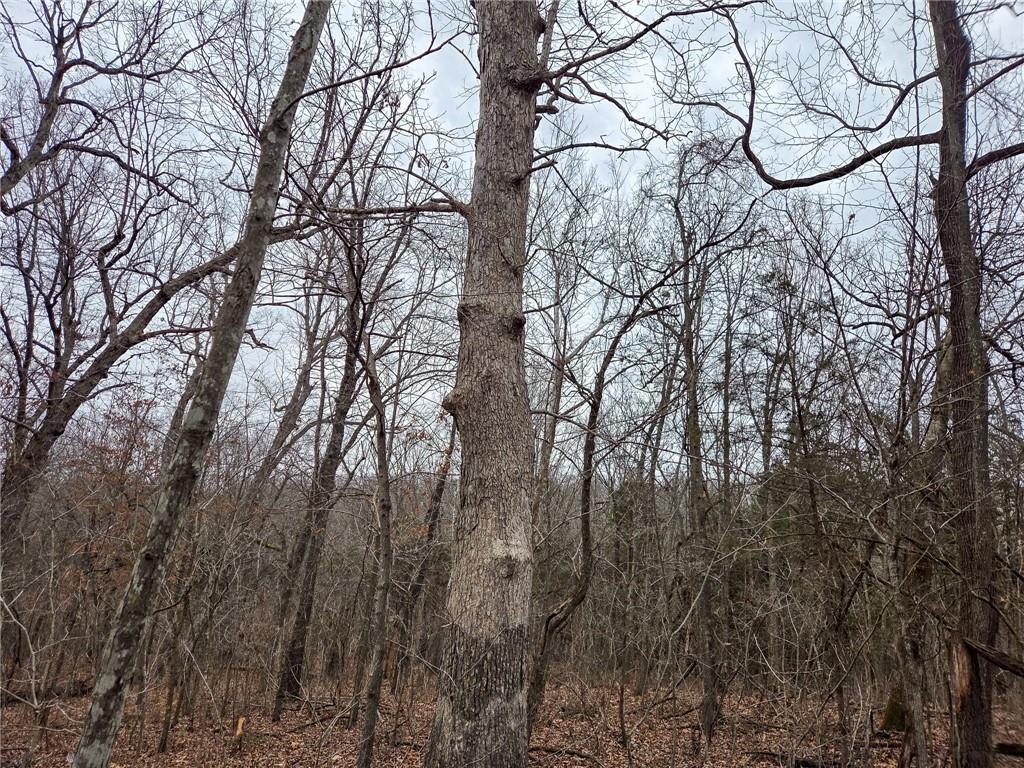 0 North County Road 96 Road Walnut Grove, MO 65770 - Photo 24 of 40