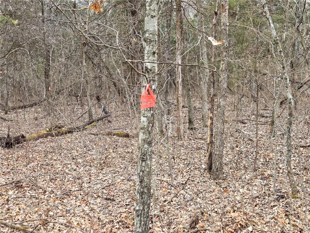 0 North County Road 96 Road Walnut Grove, MO 65770 - Photo 27 of 40