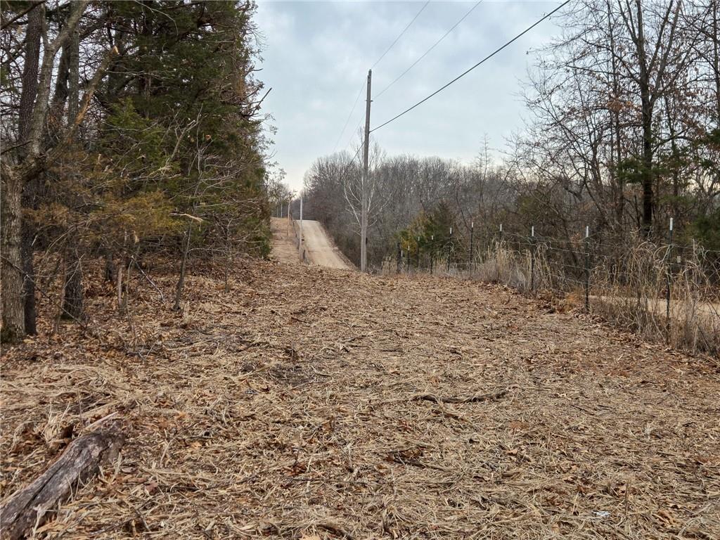 0 North County Road 96 Road Walnut Grove, MO 65770 - Photo 28 of 40