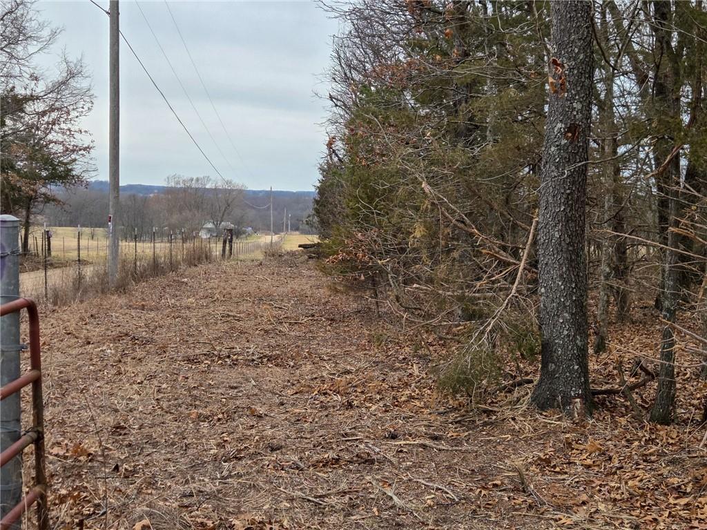 0 North County Road 96 Road Walnut Grove, MO 65770 - Photo 29 of 40