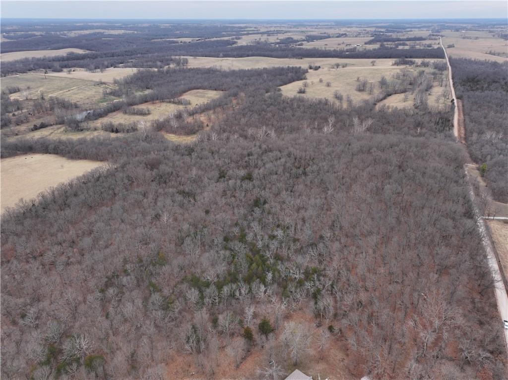 0 North County Road 96 Road Walnut Grove, MO 65770 - Photo 3 of 40