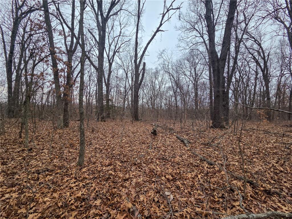 0 North County Road 96 Road Walnut Grove, MO 65770 - Photo 32 of 40