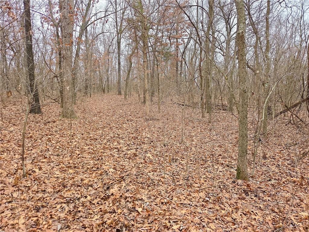 0 North County Road 96 Road Walnut Grove, MO 65770 - Photo 33 of 40