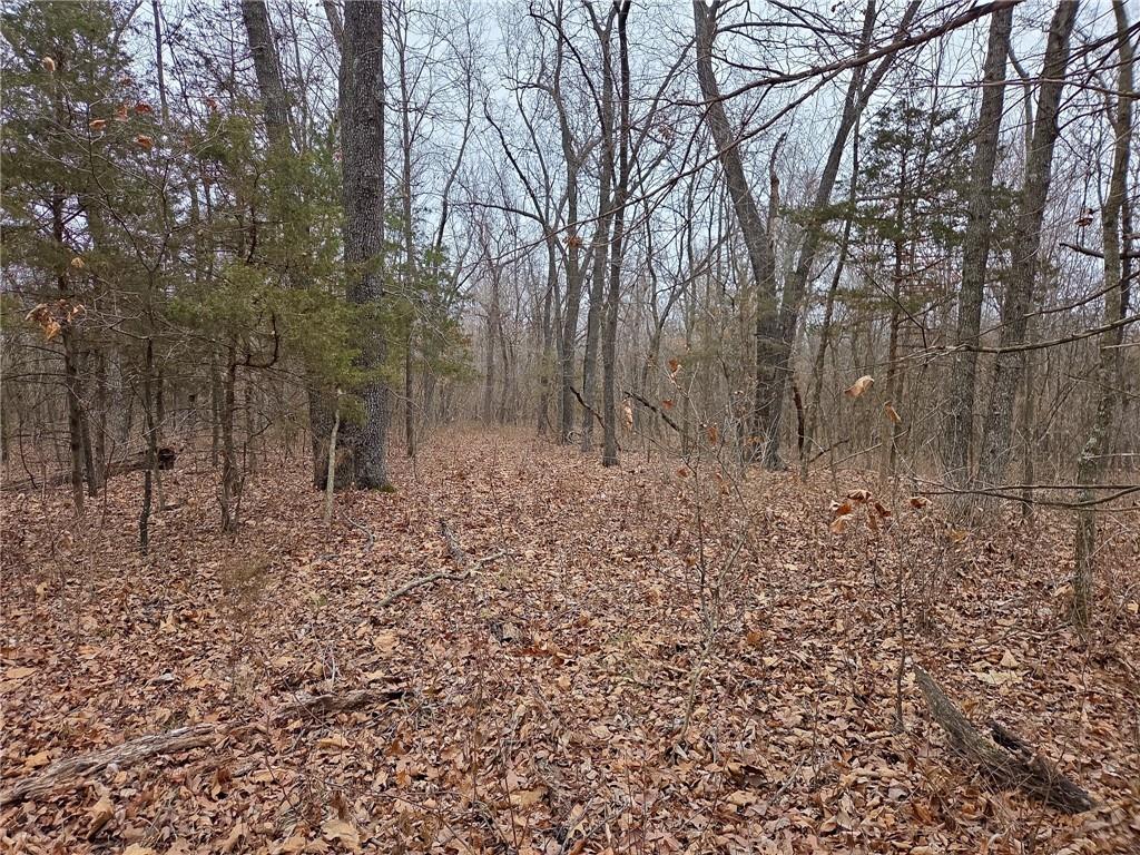 0 North County Road 96 Road Walnut Grove, MO 65770 - Photo 36 of 40