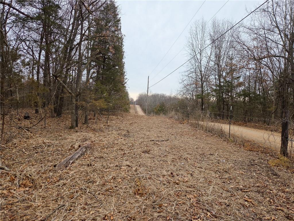 0 North County Road 96 Road Walnut Grove, MO 65770 - Photo 39 of 40